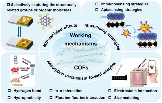 材料与化学工程学院张治红团队在...